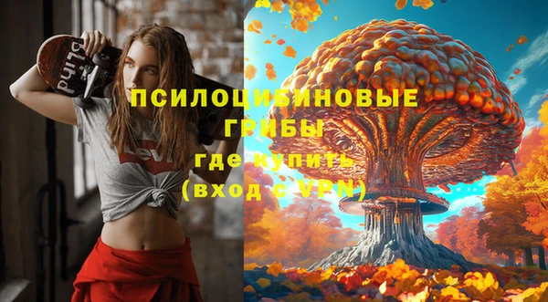 дурь Алексеевка